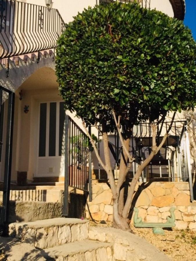 One Bed Apartment Overlooking Jalon Valley, Costa Blanca Alcalalí 외부 사진