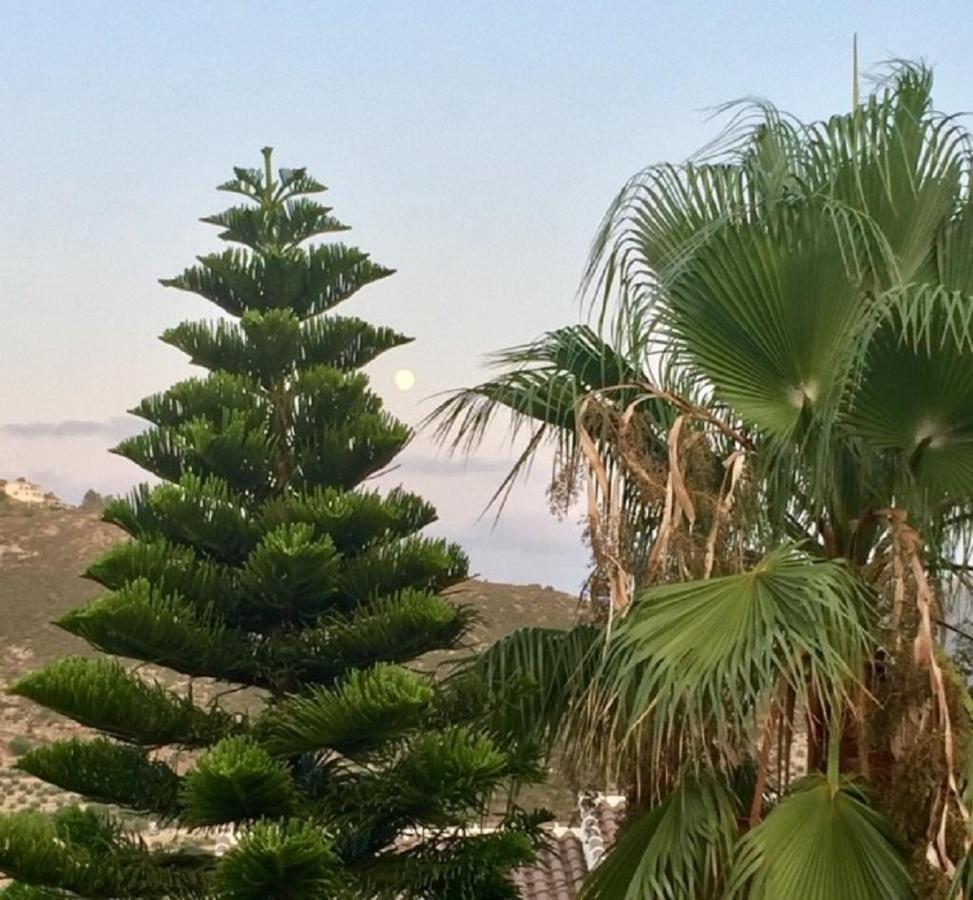 One Bed Apartment Overlooking Jalon Valley, Costa Blanca Alcalalí 외부 사진